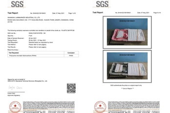 F124 Bathtub Test Report (PAHs)